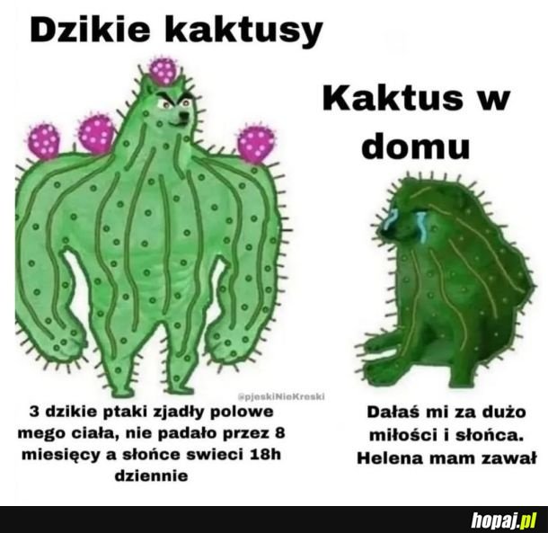 Bywa