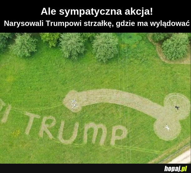 Strzałka 