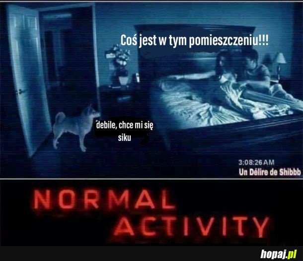 Normal Activity