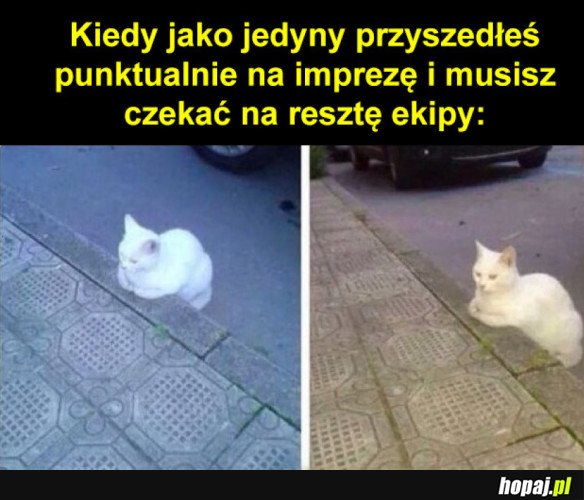To uczucie