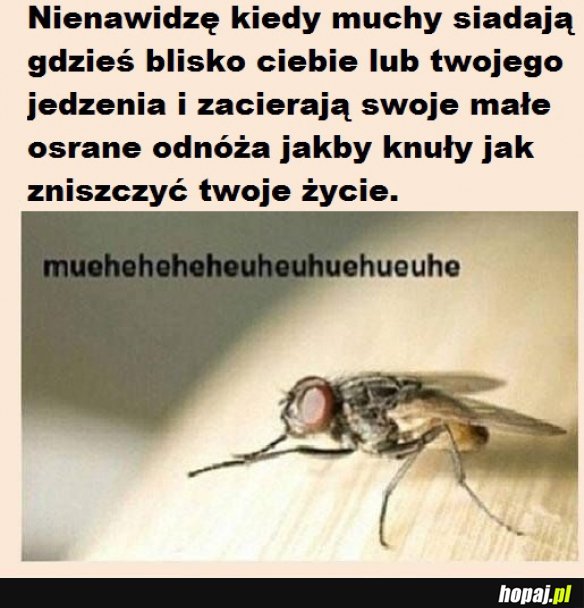 Małe gnojki