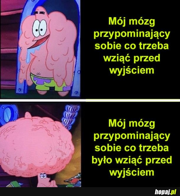 Mój mózg