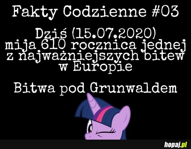 Fakty Codzienne #31