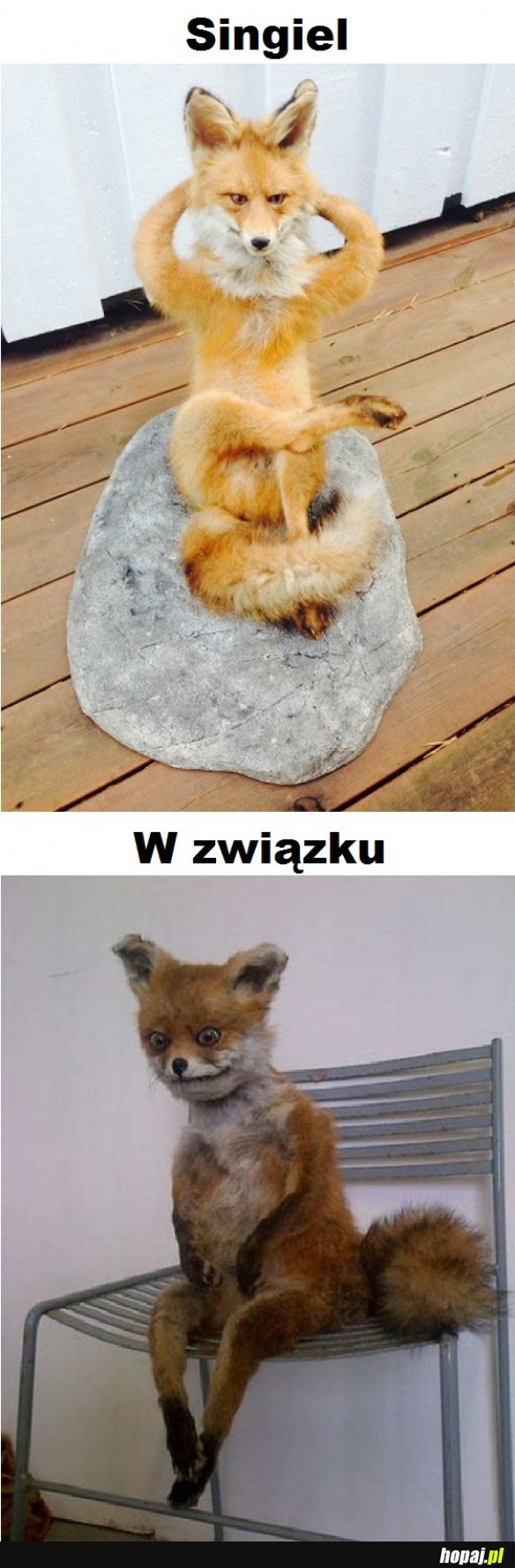 Singel vs w związku