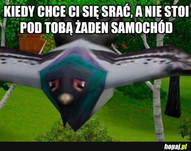 SMUTNY GOŁĄB