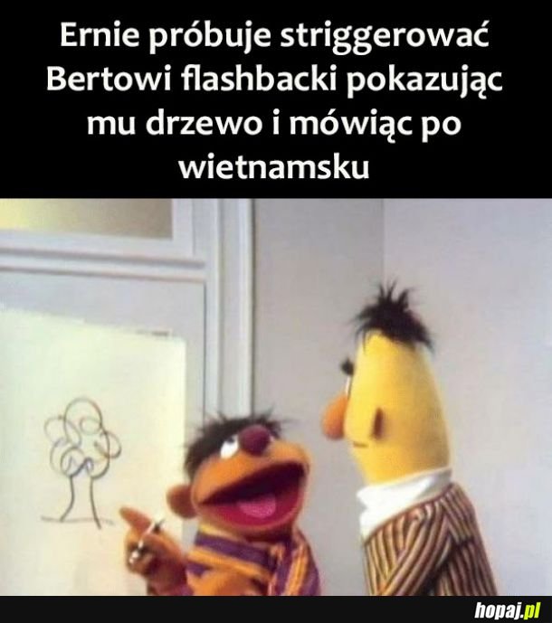 Bert i Ernie 