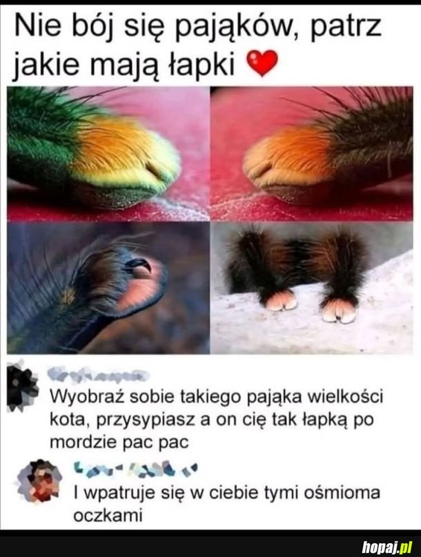 Nie bój się