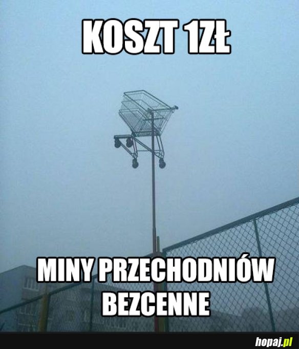 Heheszki