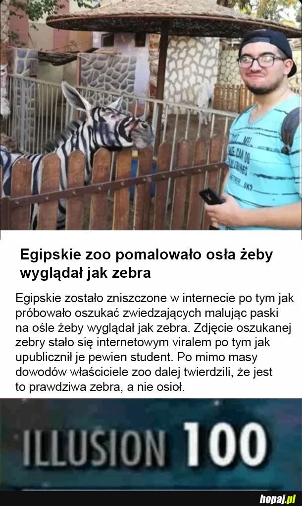 Mistrzowie iluzji