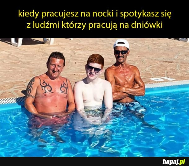 Ziomki