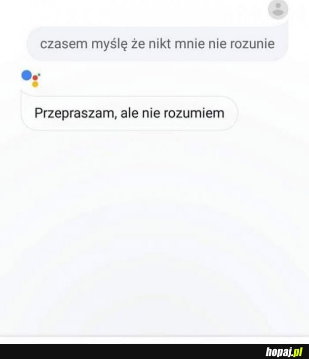 Nikt nie rozumie 