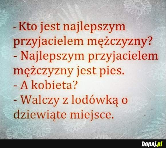 Kto jest najlepszym przyjacielem mężczyzny?