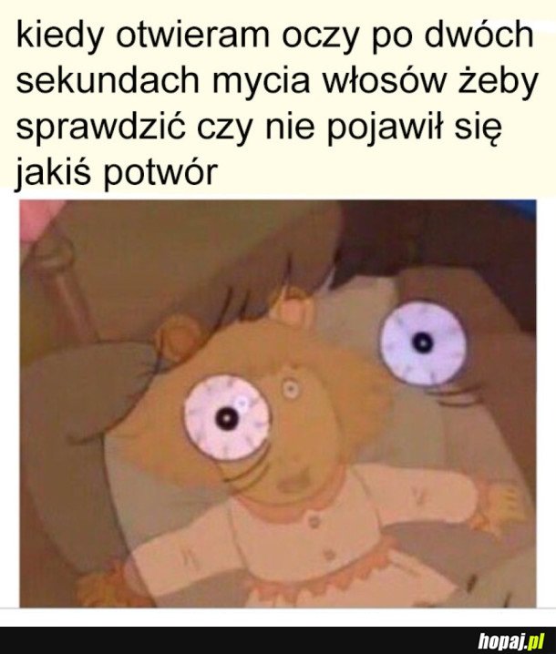 MOJE PARANOJE