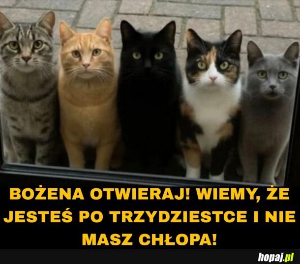 Nie ma już odwrotu...