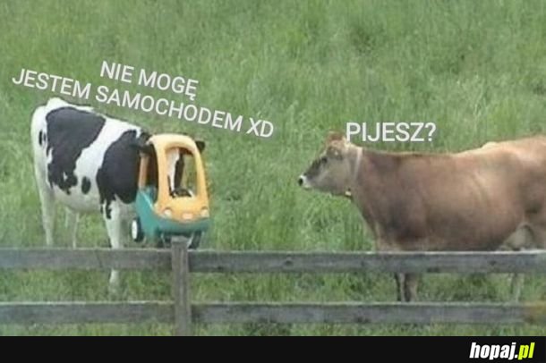 Za każdym razem