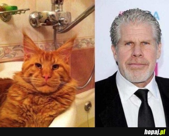 RON PERLMAN