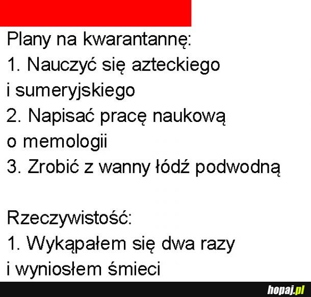 Plany