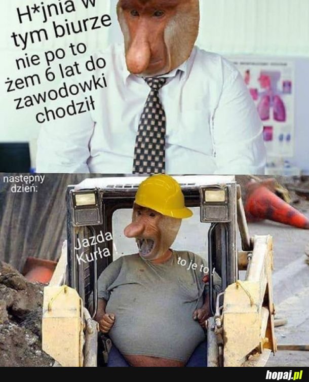 Nie warto było