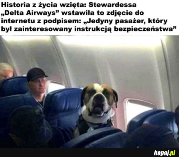 Jedyny zainteresowany
