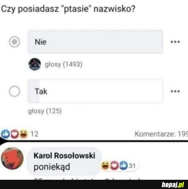 Ptasie nazwisko