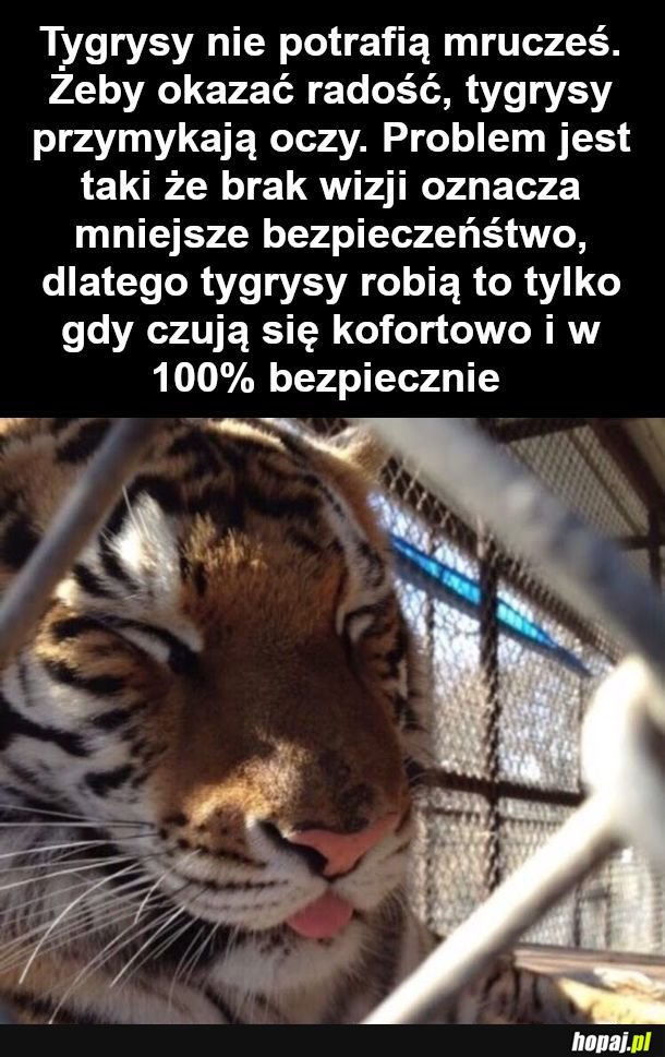 Cukrzycy można dostać