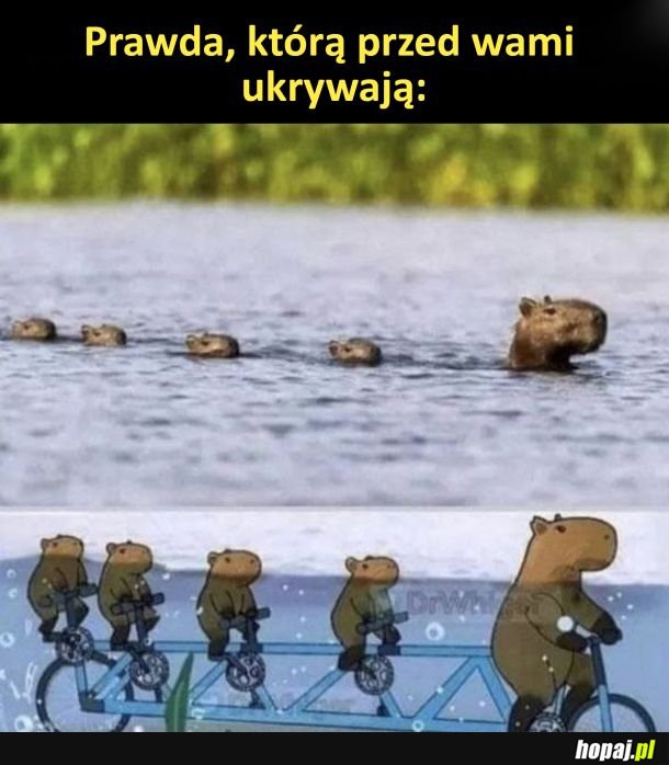 Prawda, którą przed wami ukrywają