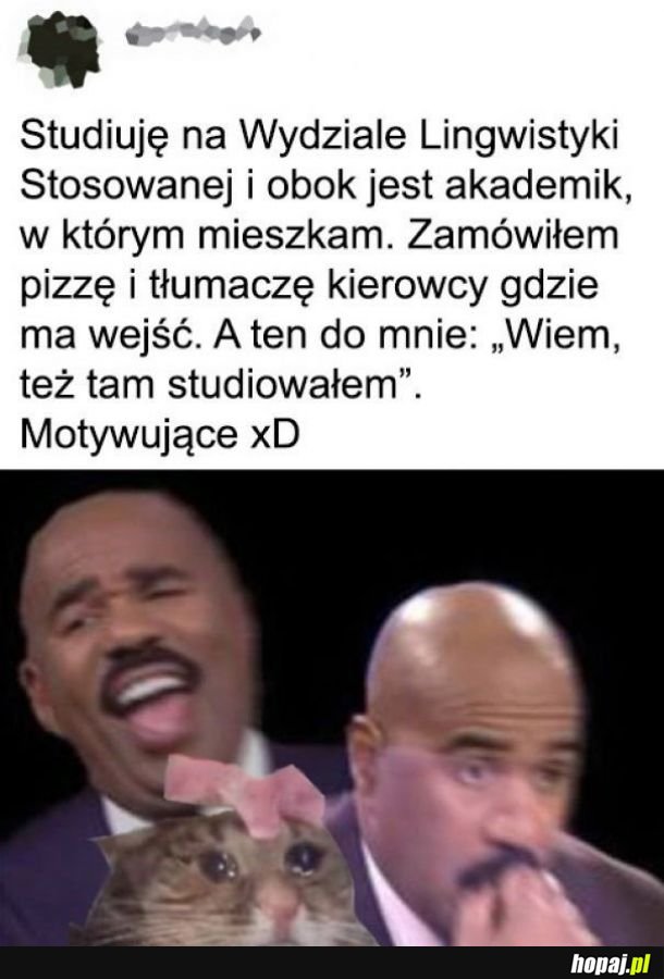 Warto studiować