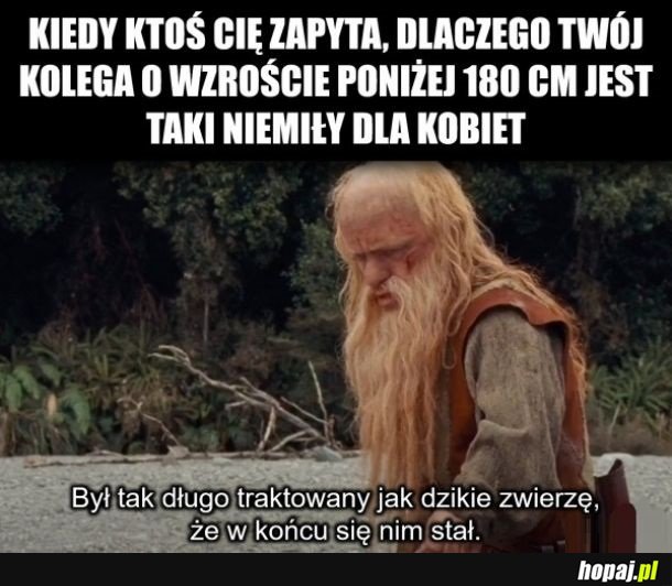 Kolega
