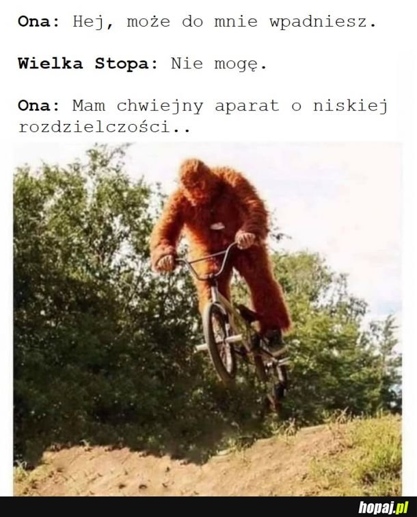 Wielka Stopa