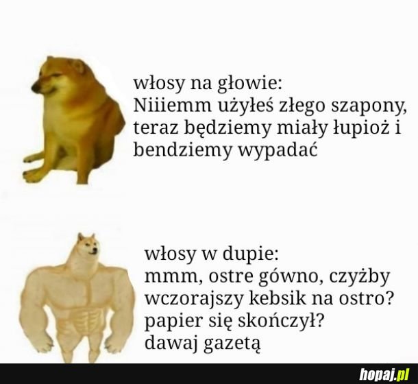 Włosy tu i tam