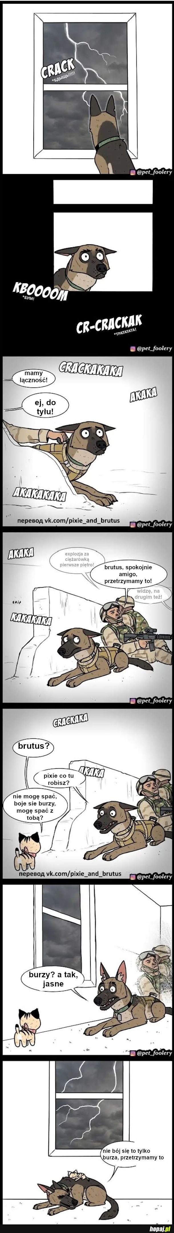 Flashbacki z Sylwestra