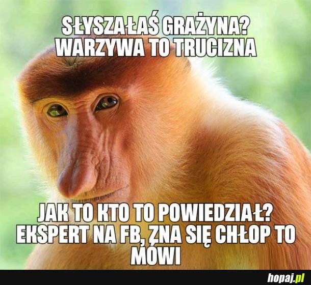 Warzywka