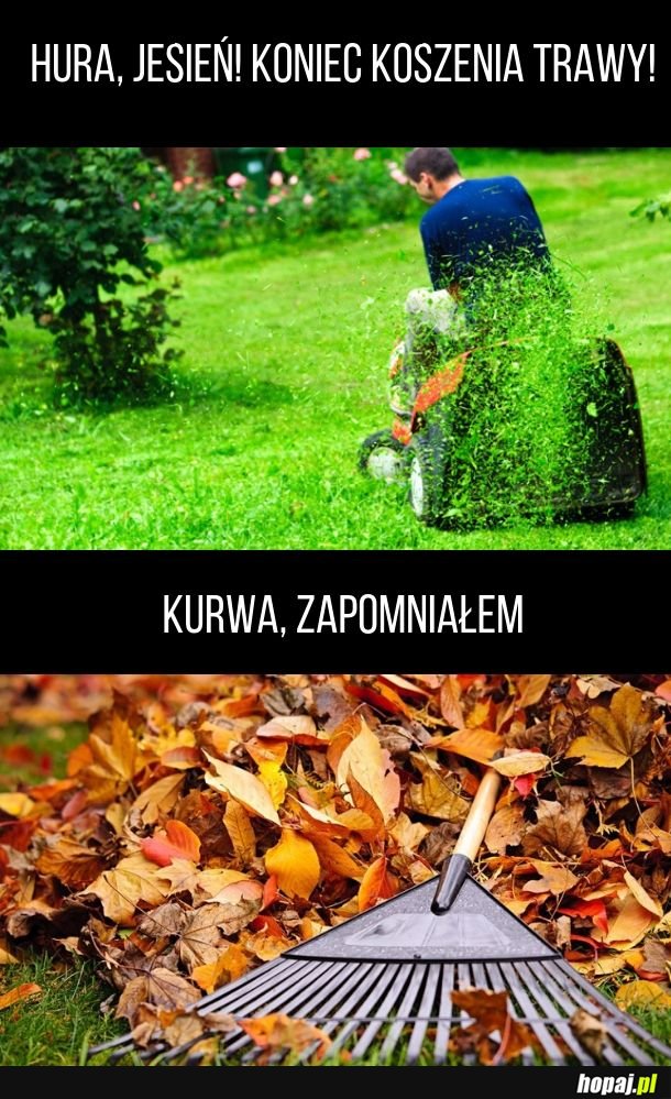 Kto ma trawnik, ten wie