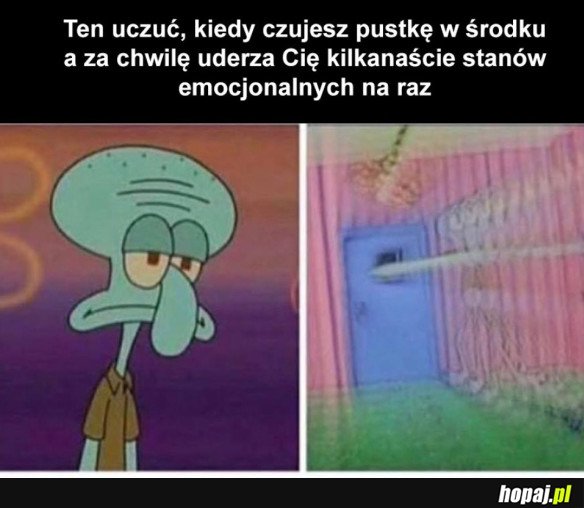 TA HUŚTAWKA EMOCJONALNA