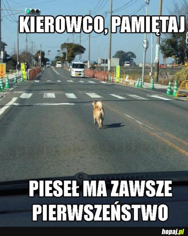 RADA DLA KIEROWCÓW