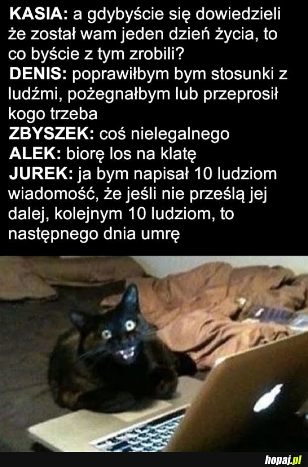 I już wiemy skąd te głupie łańcuszki