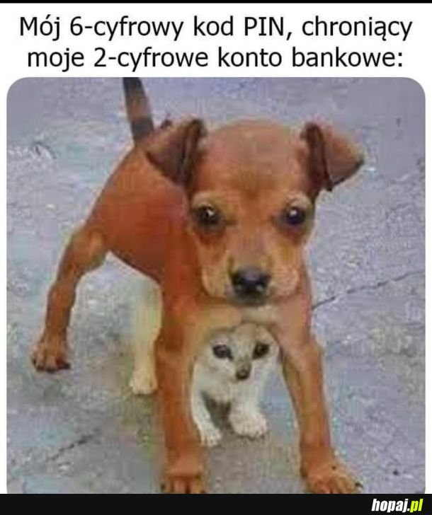 I to po przecinku