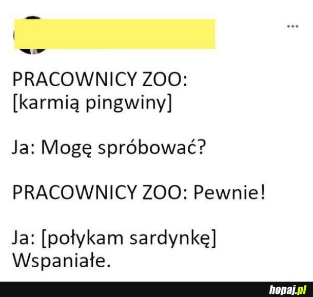 Dziękuję