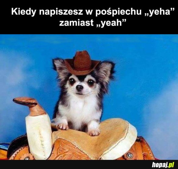 OH YEHA