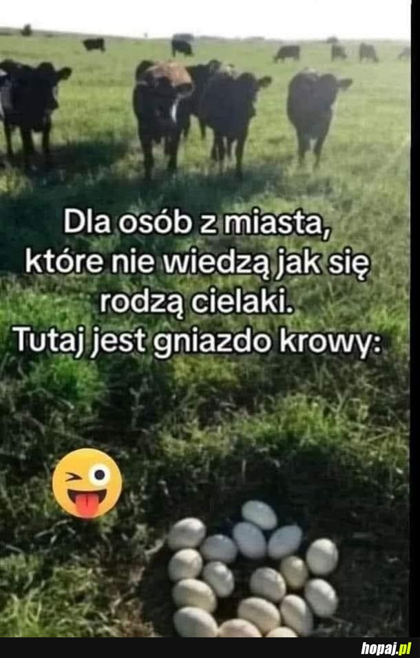 Teraz już wiecie