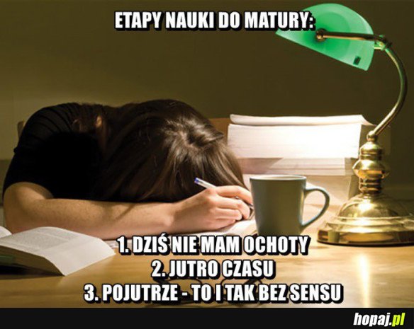 Etapy nauki