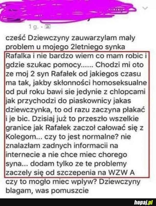 Synek rafauek