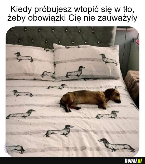 Może przejdą bokiem