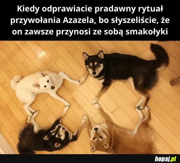 Najsłodsi okultyści EVER