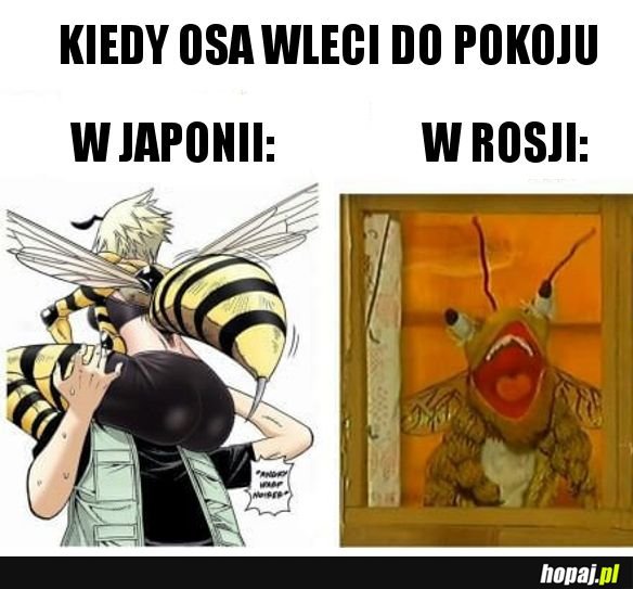 Japonia vs. Rosja