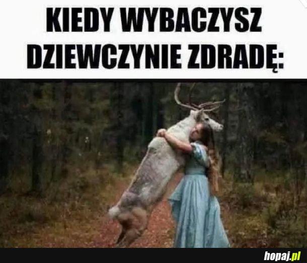 Biały jeleń, jak ten szampon.