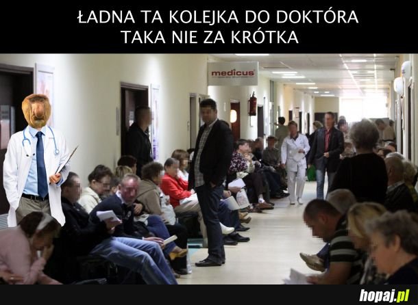 Kolejka do doktóra