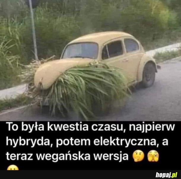 Było do przewidzenia