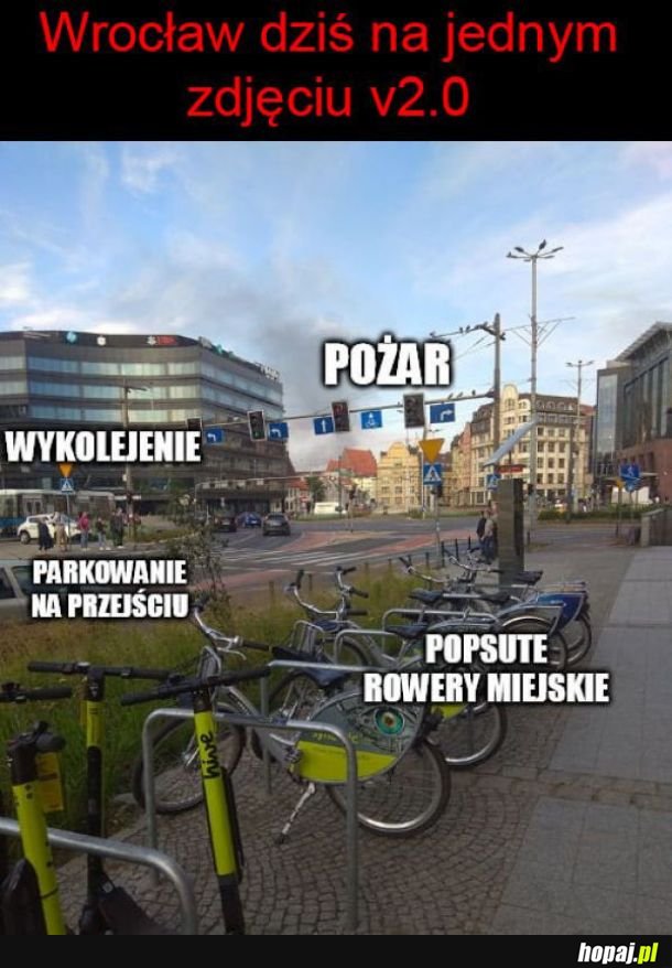  Wrocław się bawi 