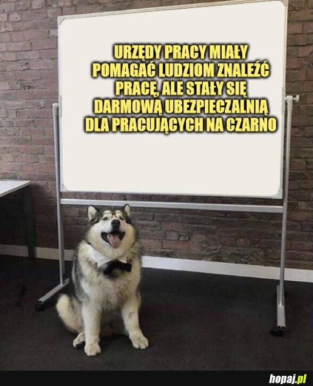 Taki był zamysł.